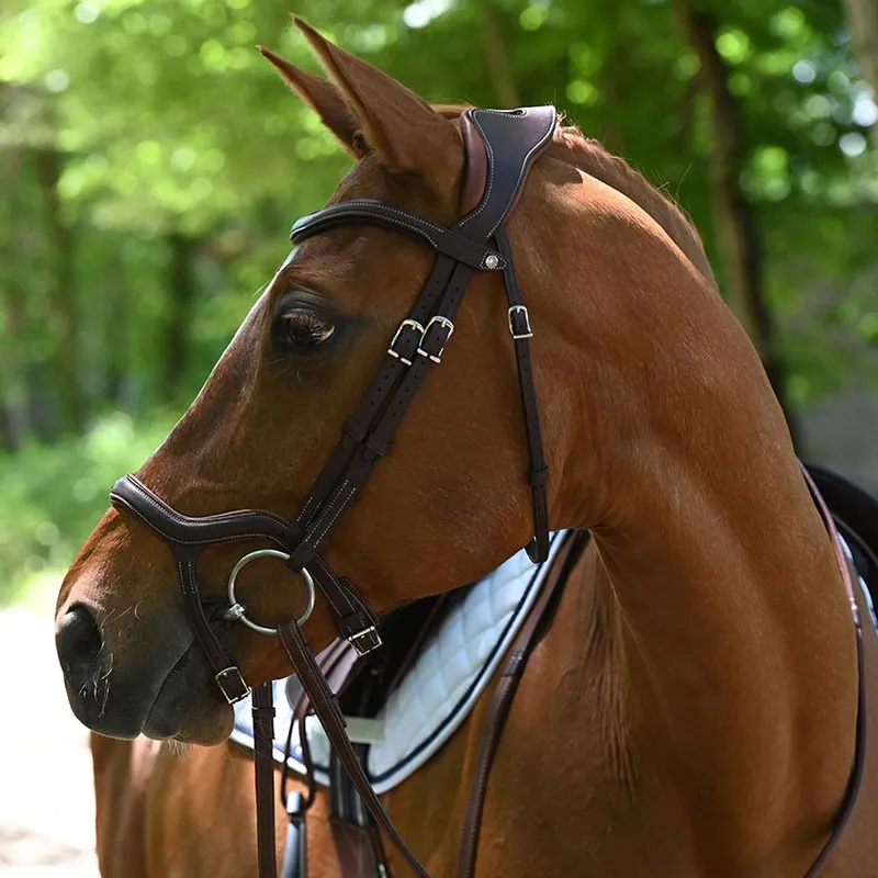 Antarès Precision Y Bridle hodelag
