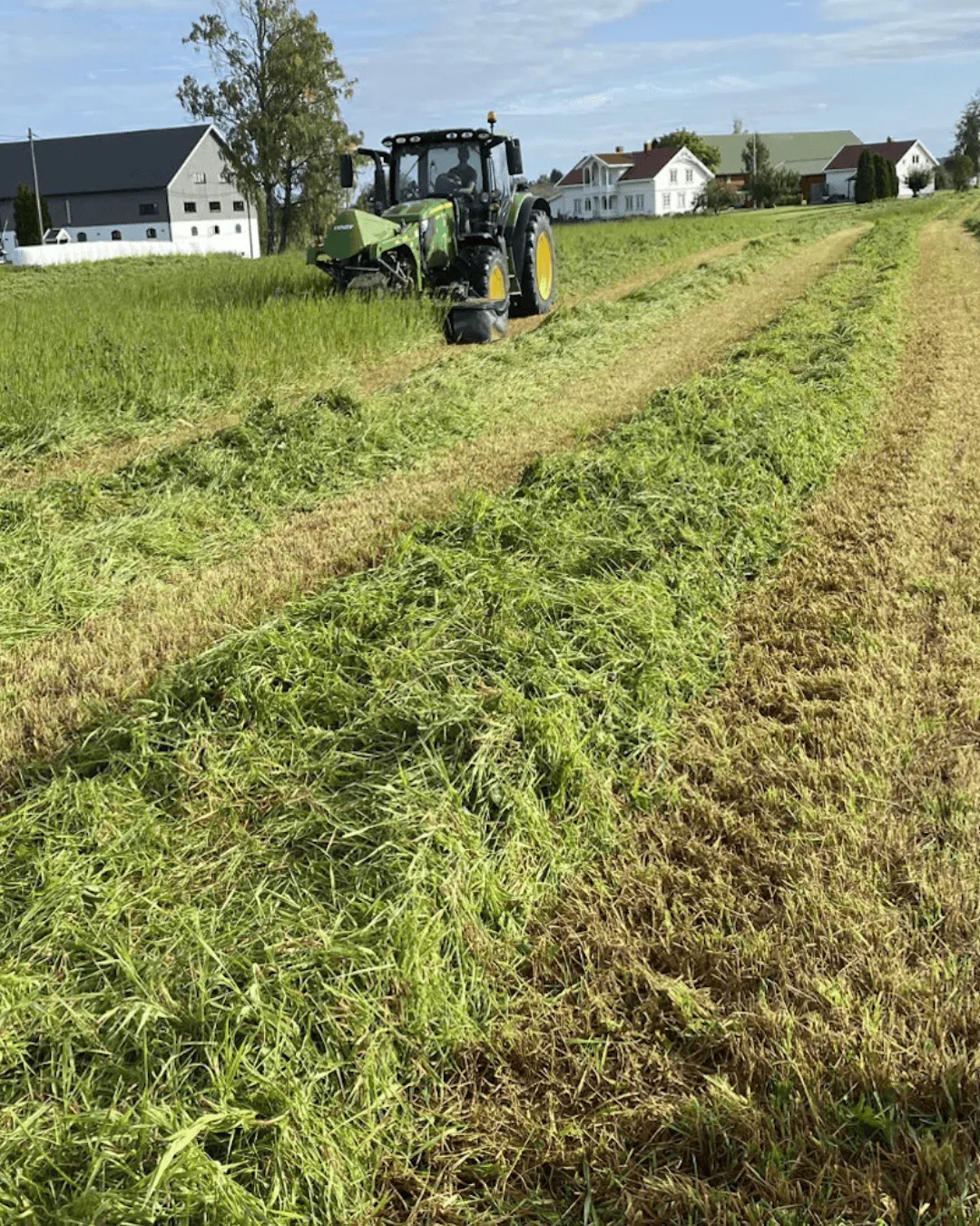 traktor som slår gress
